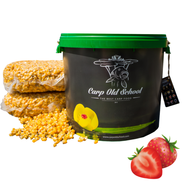 cap_old_school_kukurydza_10kg_truskawka