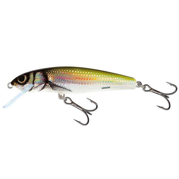 minnow-qmw029