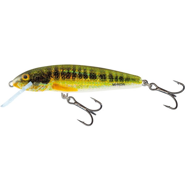 minnow-qmw048