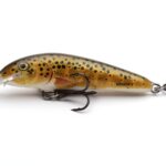 salmo 2
