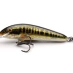 salmo 3
