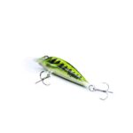 JAKI-WOBLER-NA-PSTRĄGA-KLENIA-ENGIMA-BAITS