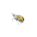 SKUTECZNY-WOBLER-HAND-MADE-MALOWANIE-PSTRAGA-ENGIMA-BAITSPSTRAGOWY-6