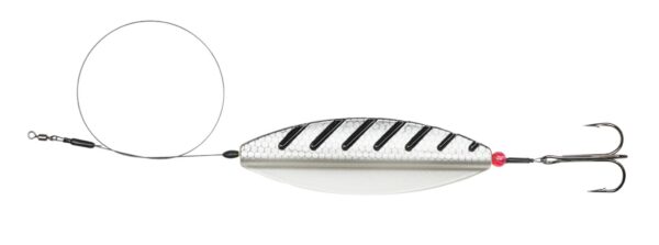 silverfish